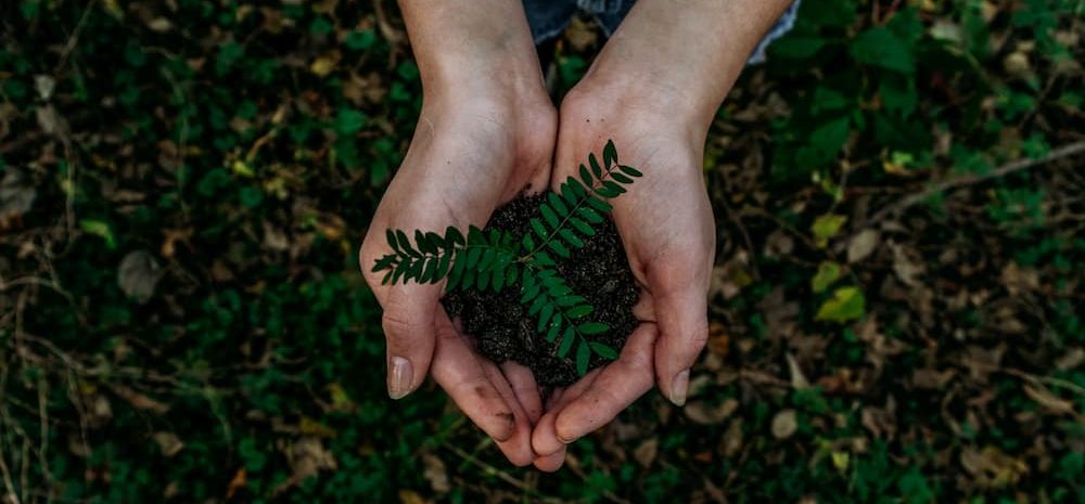 Umwelt- und Nachhaltigkeitsfaktoren